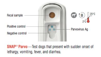 Module 11.3: Canine SNAP® Parvovirus Testing.